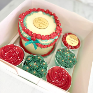 Christmas Bento Cake & Cupcake Gift Set