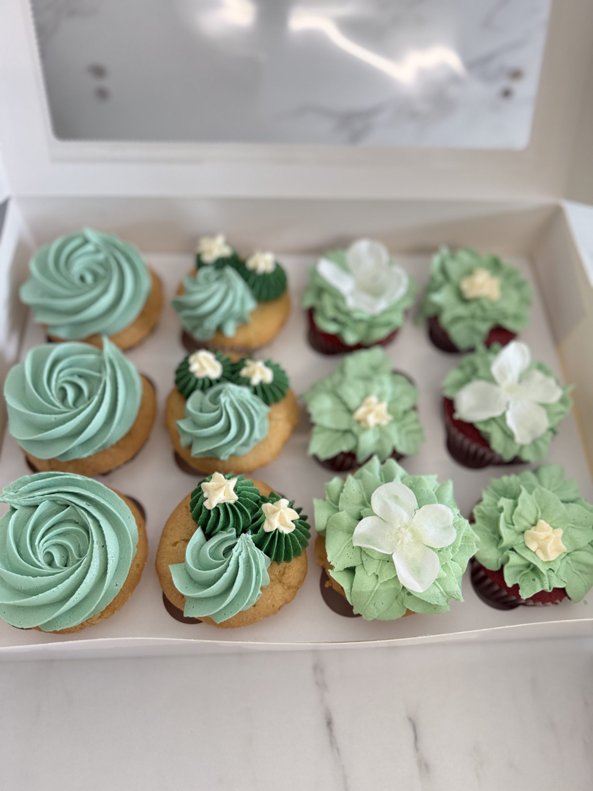 Assorted Green & Floral Cupcake Box